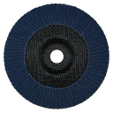 Lamellenschijf, 180 x 22 mm, K 60, voor staal en RVS, RPM 8600