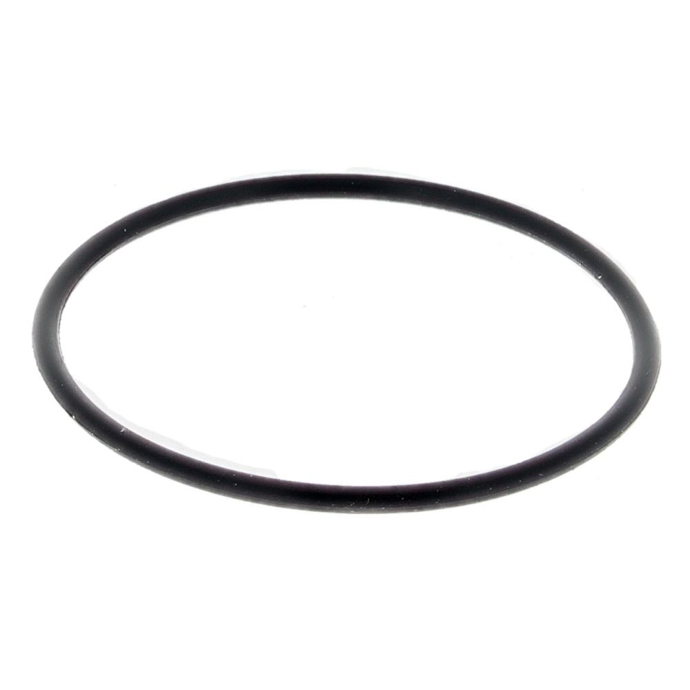 Spare parts for Trelawny 2B, BodyO-ring, Part No 809.5179