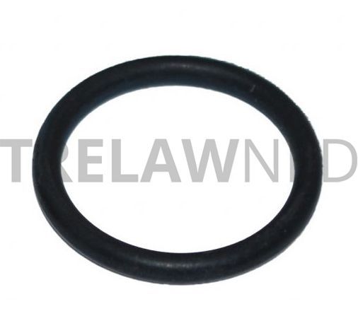 Spare parts for Trelawny 2BPG/3BPG, O-ring Valve cap, Part No 809.0139
