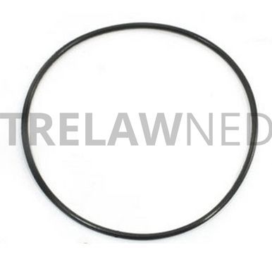 Spare parts for Trelawny 3BPG, O-ring Small Diam, Part No 809.0289