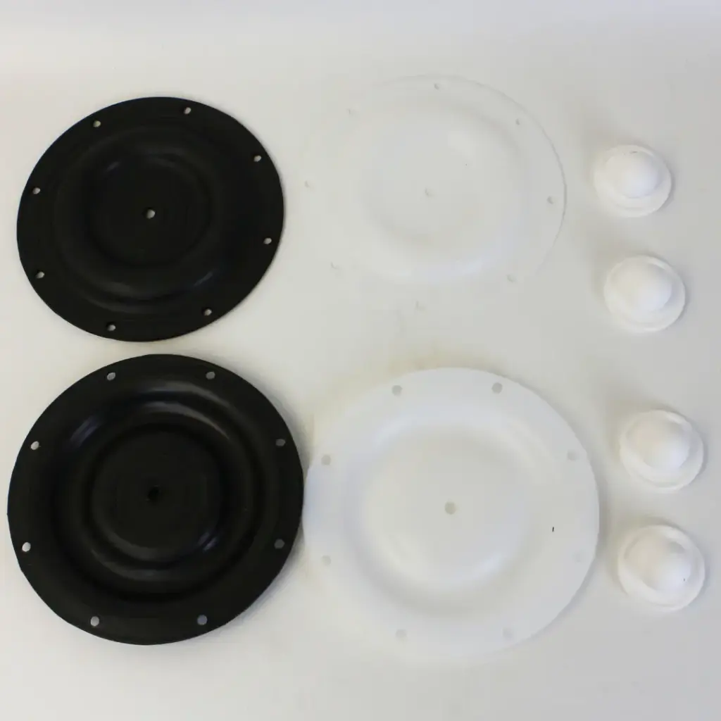 Teflon spare part set for TDP-25/-40 - TDPK-25 and TDPK-40 (Diaphragms, ball valves and ball seats)