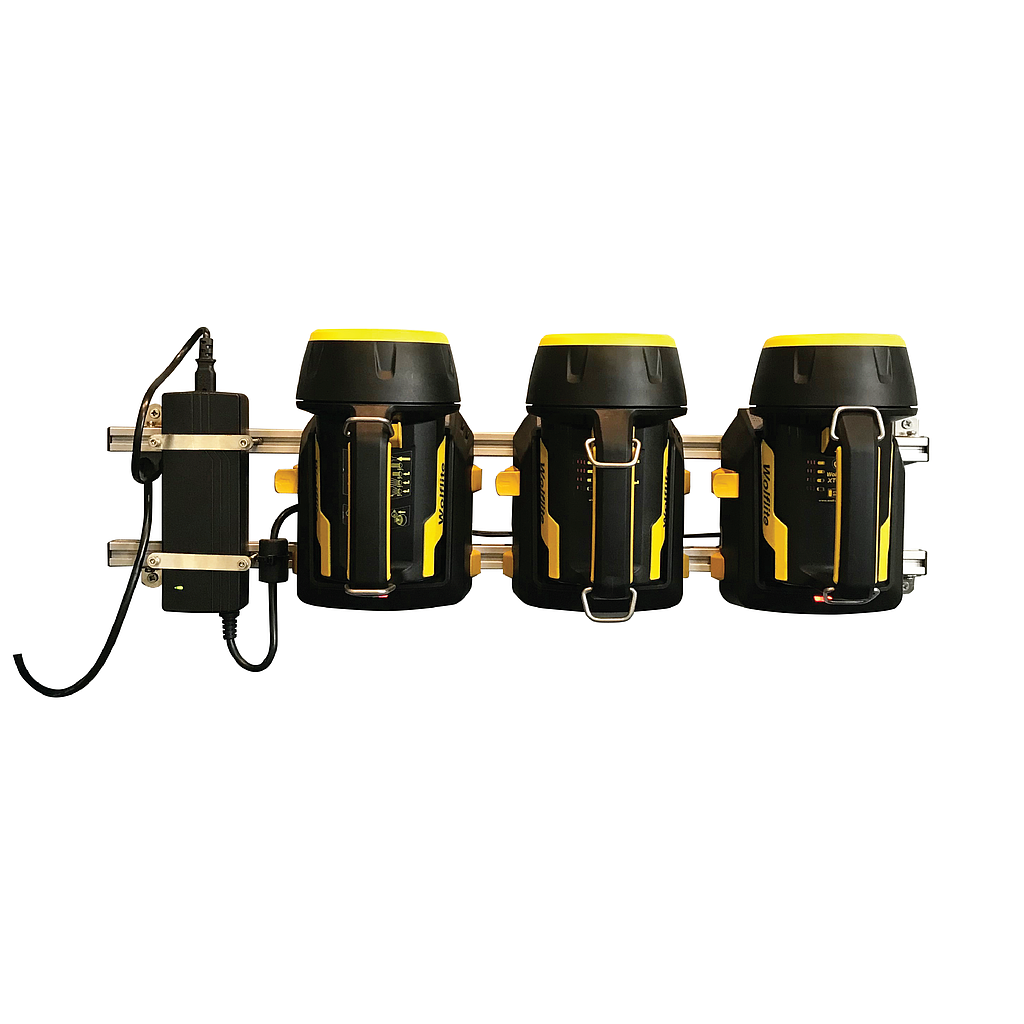 Wolf RC-200L, Vehicle Charger 12-24V for R-50 and R-55