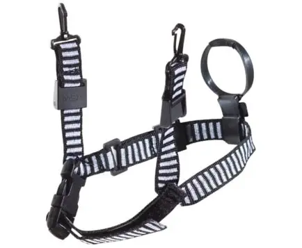MSA 3 pts chinstrap, zebra webbing, only suitable for Fas-trac suspensions, p/n 10147559