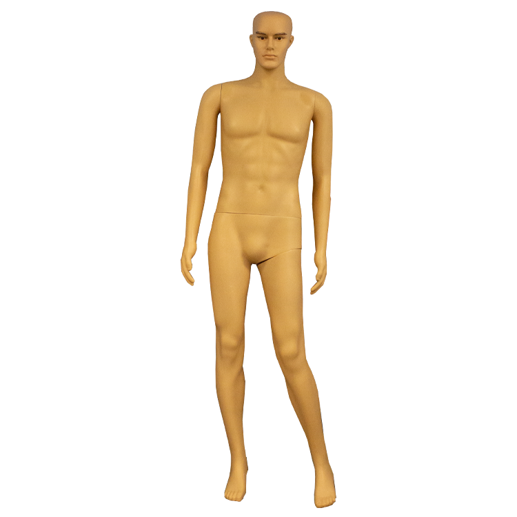 AP-Line levensgrote mannelijke pop, stevige voetplaat, zonder kleren of pruik, IMPA 314116