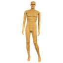 [11581] AP-Line levensgrote mannelijke pop, stevige voetplaat, zonder kleren of pruik, IMPA 314116