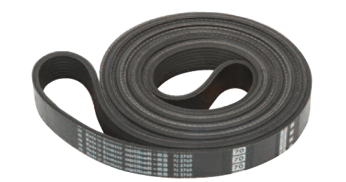 Electrolux Drive Belt, p/n 487225603