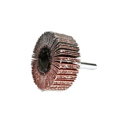 [3496] Fan grinder, d: 50 mm, 20 mm wide, d: shank: 6 mm, grit 60, RPM 15200[24.0](4.57)