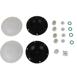 [9715] Teflon Spare parts set for TDP-10 en TDPK-15 Aluminium en SS. (Membranen, afsluitballen en zittingen)[6.0](92.45)