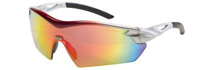 [10485] MSA Racers, veiligheidsbril, Zilver -rood met regenboog lens, sightgard-coating, anti-condens, anti-kras, 10104618 (10070921), IMPA 311059